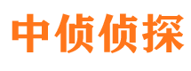 平武市婚外情调查